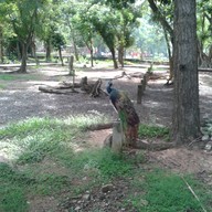 บรรยากาศ สวนนกชัยนาท
