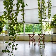 บรรยากาศ Boonta Flowers and Cafe