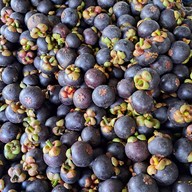 เมนูของร้าน น้องข้าวหอม ผลไม้ตามฤดูกาล