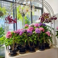 บรรยากาศ Boonta Flowers and Cafe