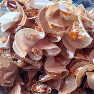 ขนมเบื้องชัยพฤกษ์ 2