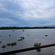 บรรยากาศ แพเคียงน้ำ บางปะกง