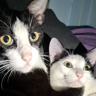 สวัสดีวันอังคาร