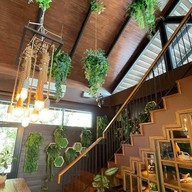 บรรยากาศ Little Forest Coffee House  แก่งกระจาน