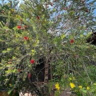 Little Forest Coffee House  แก่งกระจาน