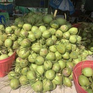 น้ำมะพร้าวปั่นบ้านแพ้ว ตลาดเลียบด่วนแดนเนรมิต น้ำมะพร้าวปั่นบ้านแพ้ว ตลาดเลียบด่วนแดนเนรมิต