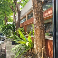 หน้าร้าน butch's coffee  อาคารวังเด็ก3 วิภาวดีซอย5 แยก1