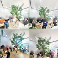 Class Clinic ชัยภูมิ