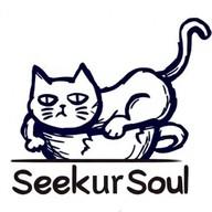Seek ur Soul Seek ur Soul