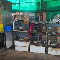 ทางโค้ง เกาะยอ