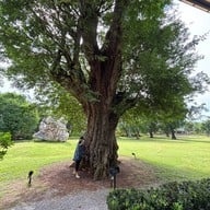 U Forests cafe ระยอง