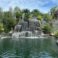 U Forests cafe ระยอง