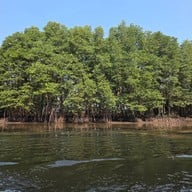 พาเพลิน