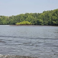 พาเพลิน