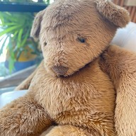 บ้านหมี กระเพรา ข้าวผัด ส้มตำ ตำเส้นเล็ก พิซซ่า พระราม 5