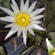 ศาลหลักเมืองสระบุรี