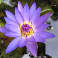 ศาลหลักเมืองสระบุรี