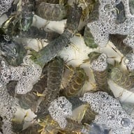 เมนูของร้าน ศรโภชนา ขลุง