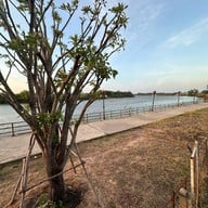 เรือนอาหารวิวมูล