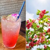 เมนูของร้าน GINGER FARM kitchen at Wooden house (พุทธมณฑลสาย 1) kitchen at Wooden house (พุทธมณฑลสาย 1)