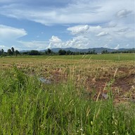 Beef Land Steakhouse