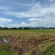 Beef Land Steakhouse