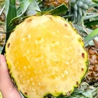 เบนซ์ ข้าวโพดคลุกเนย