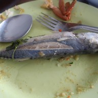 เมนูของร้าน ครัวโสภี ดอยหอยหลอด