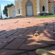 บรรยากาศ พระราชวังบางปะอิน