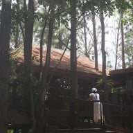 บรรยากาศ cedar ป่าสน cafe' @ เขาค้อ เขาค้อ