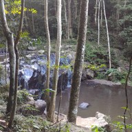 บรรยากาศ อุทยานแห่งชาติน้ำตกสามหลั่น