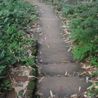 บรรยากาศ อุทยานแห่งชาติน้ำตกสามหลั่น