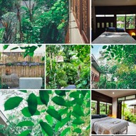 ในสวน In The Garden