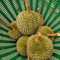 ตลาดสี่มุมเมือง