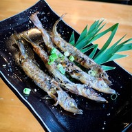 เมนูของร้าน ร้านอาหารญี่ปุ่นซะคะนะซาชิมิ -