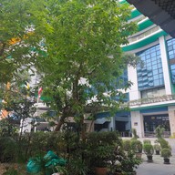 บรรยากาศ โรงพยาบาลศิริราช