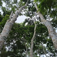 บรรยากาศ อ่างเก็บน้ำทรายทอง