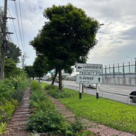 บรรยากาศ สวนประชาสุขใจ