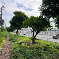 บรรยากาศ สวนประชาสุขใจ