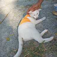 บรรยากาศ กินติม ดูควาย