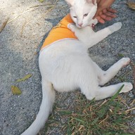 บรรยากาศ กินติม ดูควาย