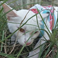 บรรยากาศ กินติม ดูควาย