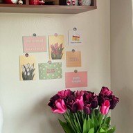 The Root Cup เดอะ รูท คัพ บ่อวิน