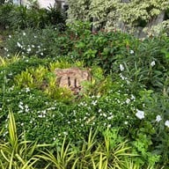 บรรยากาศ สวนประชาสุขใจ