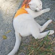 บรรยากาศ กินติม ดูควาย