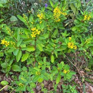 บรรยากาศ สวนประชาสุขใจ