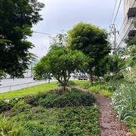 บรรยากาศ สวนประชาสุขใจ