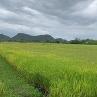 บรรยากาศ ตำลั่นทุ่ง