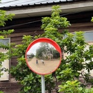 โฮมสเตย์บ้านนาต้นจั่น