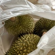 โฮมสเตย์บ้านนาต้นจั่น